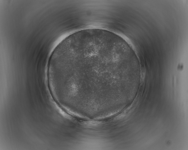 X0000091101294200708201511