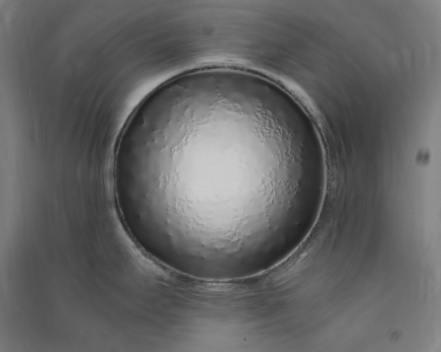 X0000091101295200708201511