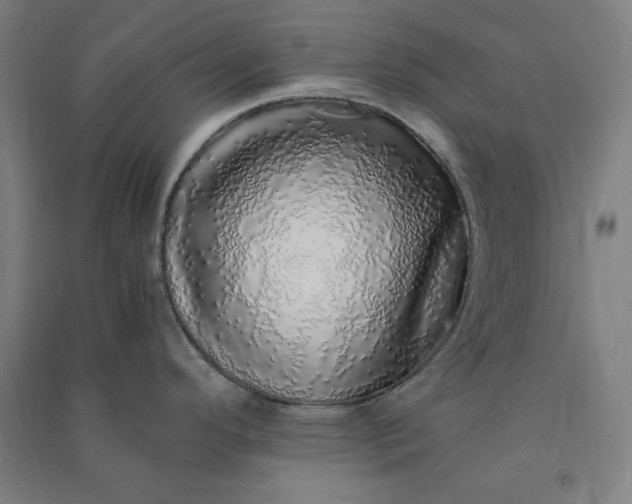 X0000091101296200708201511