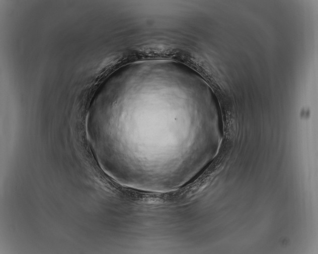 X0000091101297200708201511