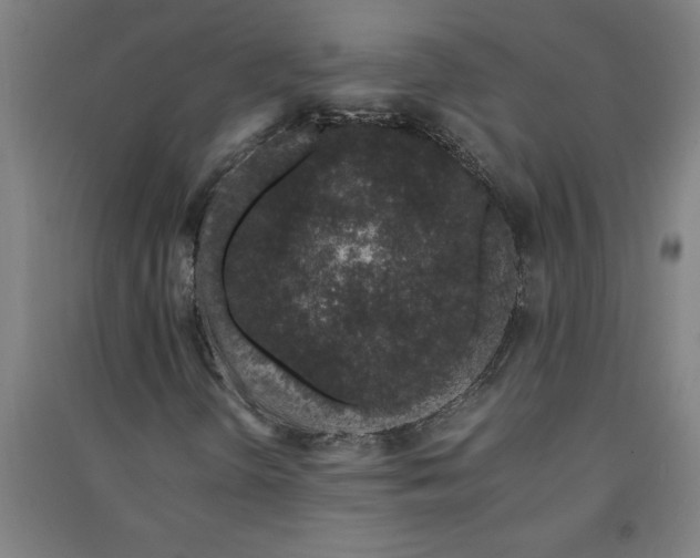 X0000091101298200708201511