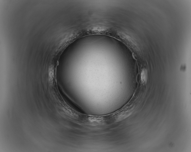 X0000091101299200708201511