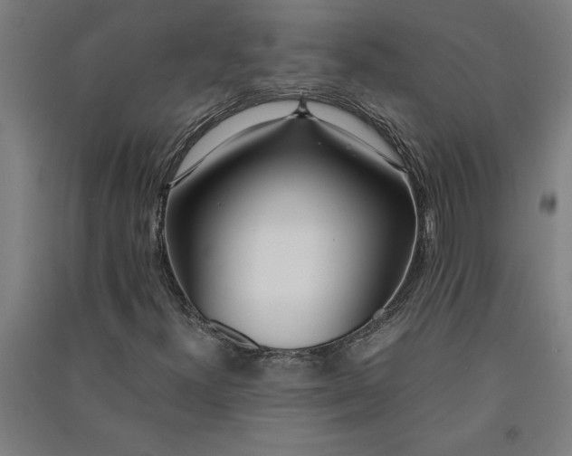 X0000091101300200708201511