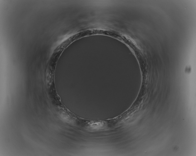 X0000091101303200708201511