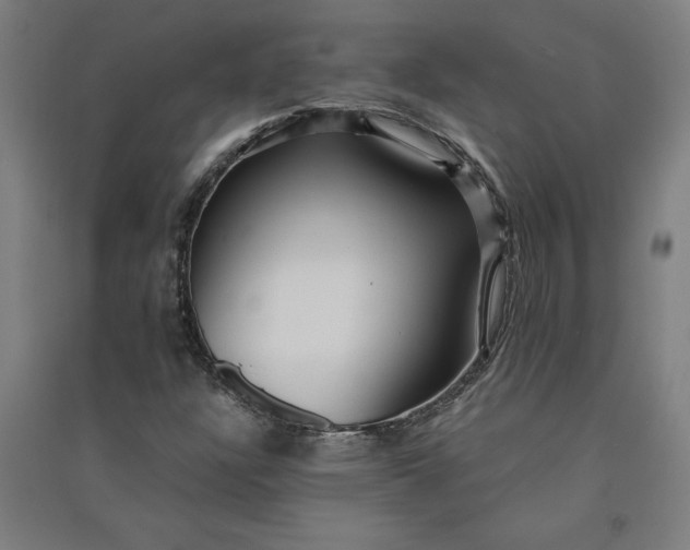 X0000091101304200708201511