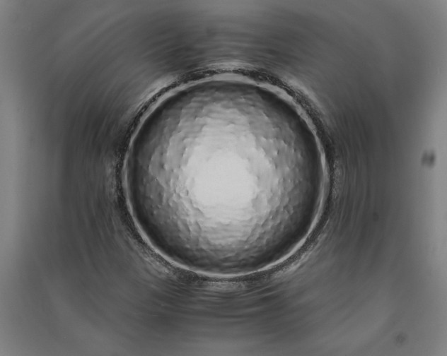 X0000091101305200708201511