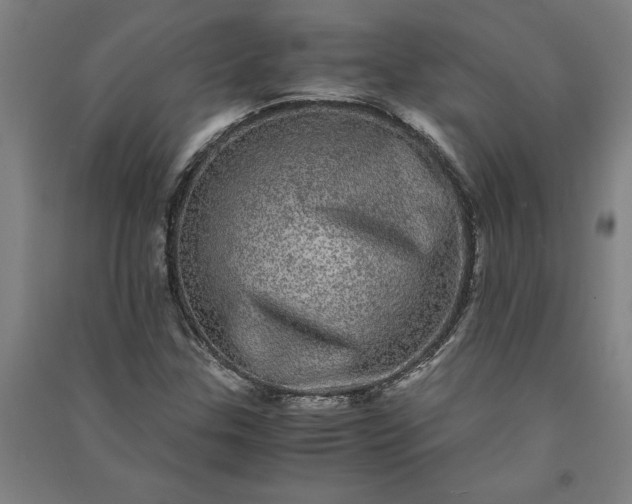 X0000091101307200708201511