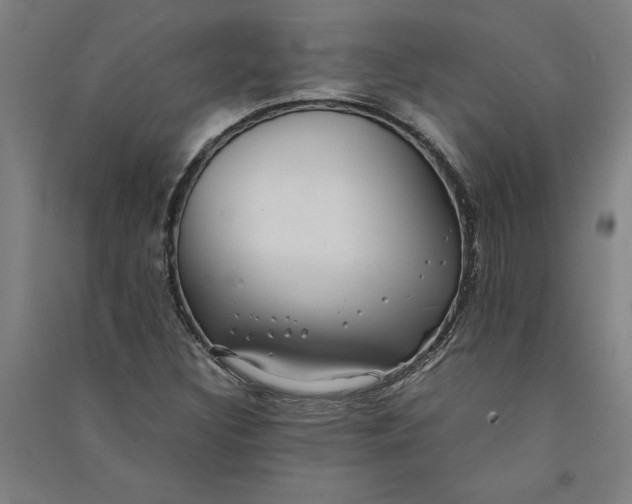 X0000091101308200708201511