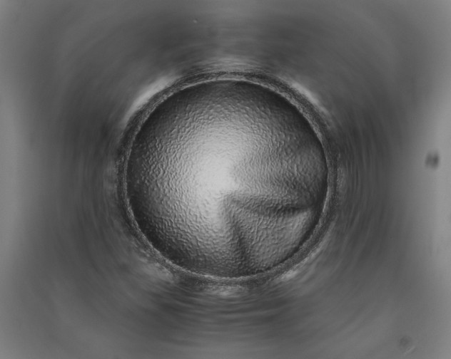 X0000091101309200708201511