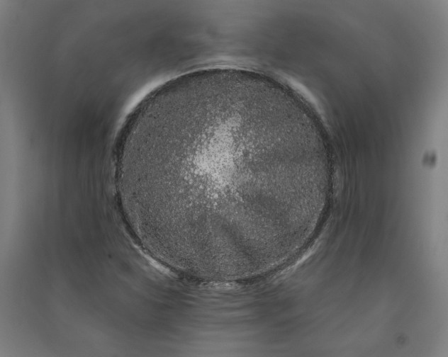 X0000091101310200708201511