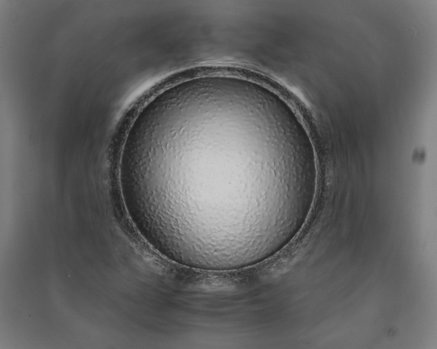 X0000091101311200708201511