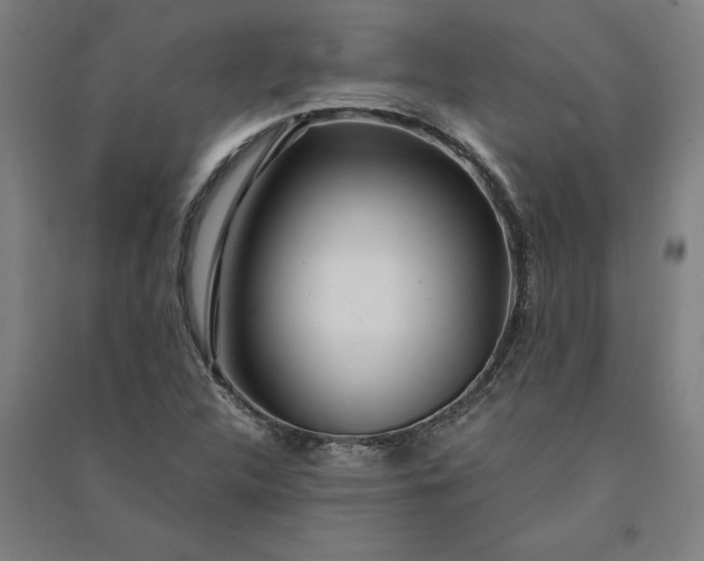 X0000091101312200708201511