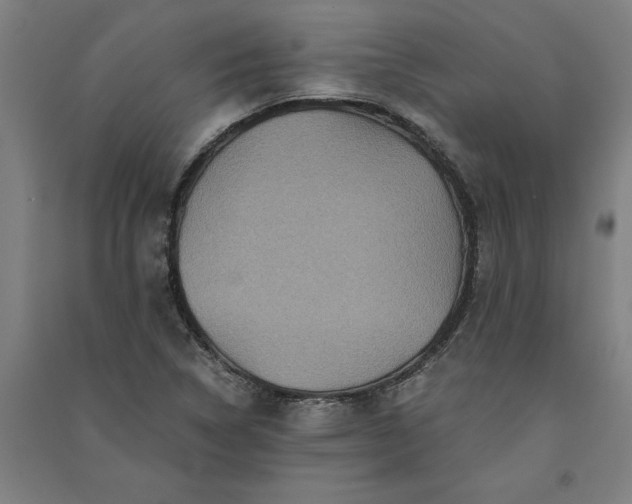 X0000091101314200708201511