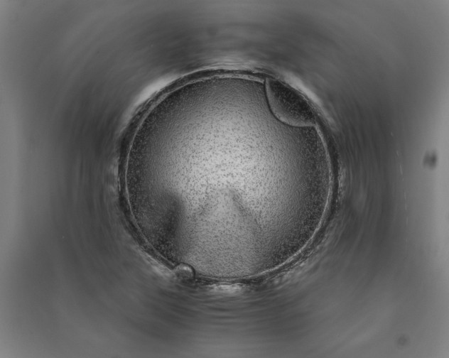 X0000091101315200708201511