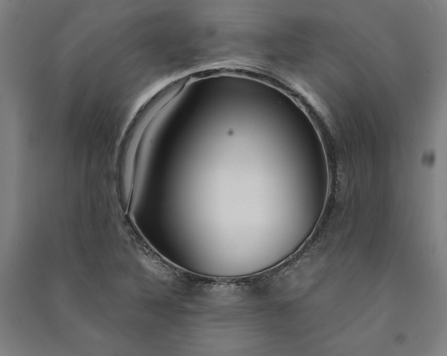 X0000091101316200708201511