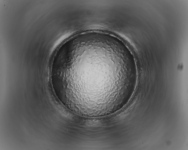 X0000091101317200708201511