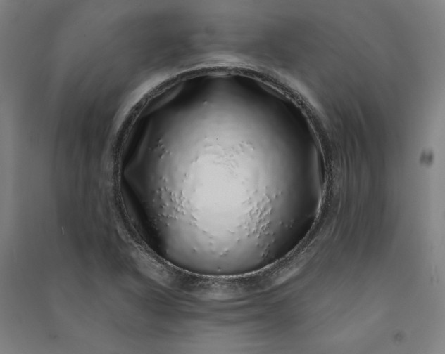 X0000091101318200708201511