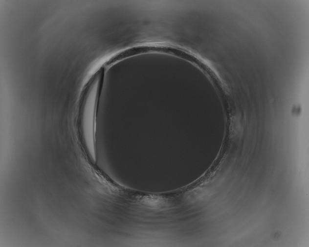 X0000091101319200708201511