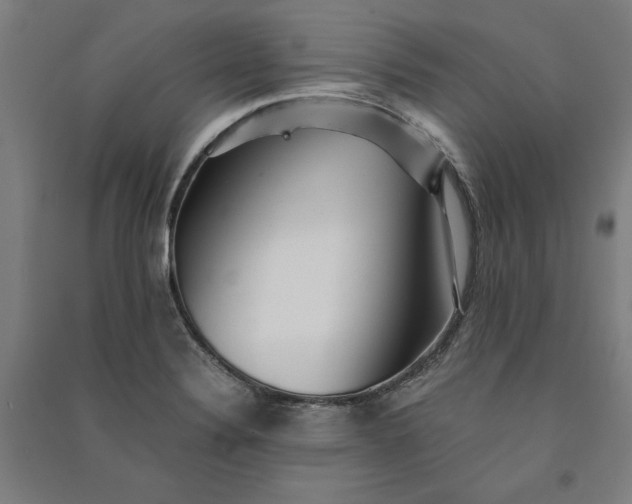 X0000091101324200708201511