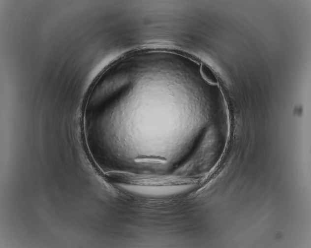 X0000091101325200708201511