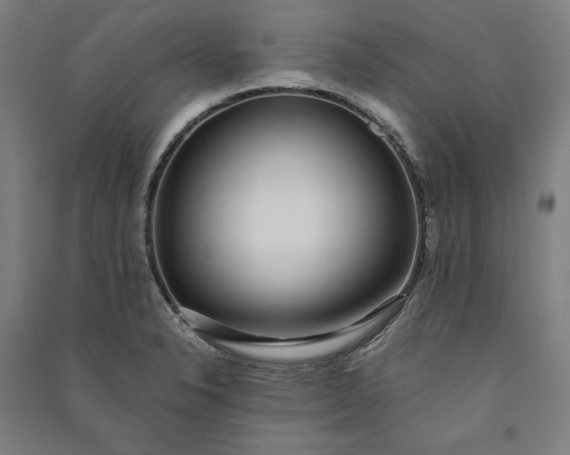 X0000091101326200708201511