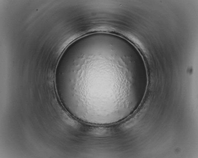 X0000091101329200708201511