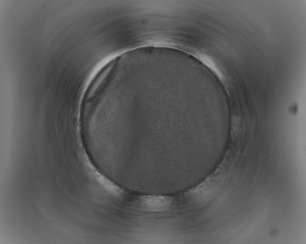 X0000091101331200708201511