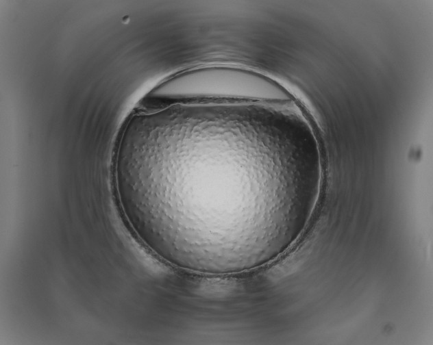 X0000091101333200708201511