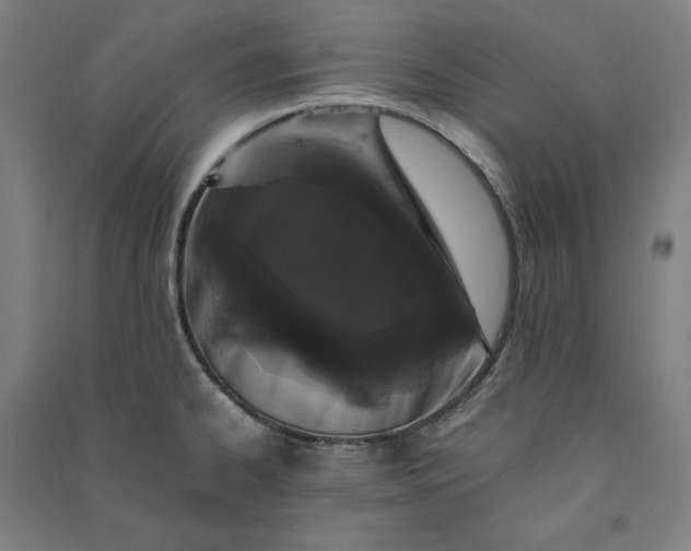 X0000091101334200708201511