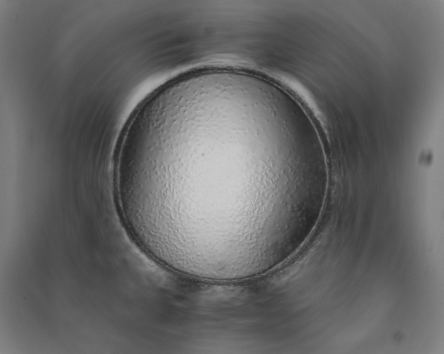 X0000091101335200708201511