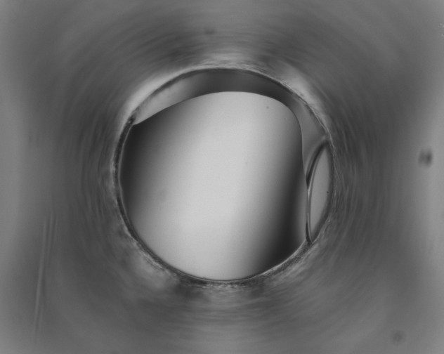 X0000091101336200708201511