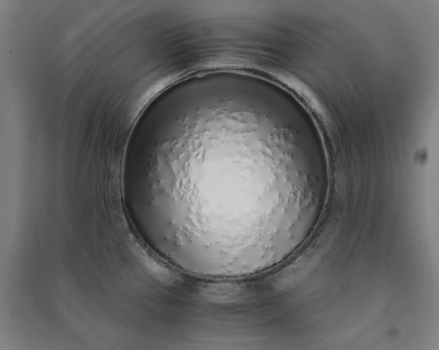 X0000091101337200708201511