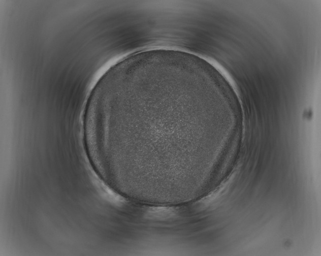 X0000091101341200708201511