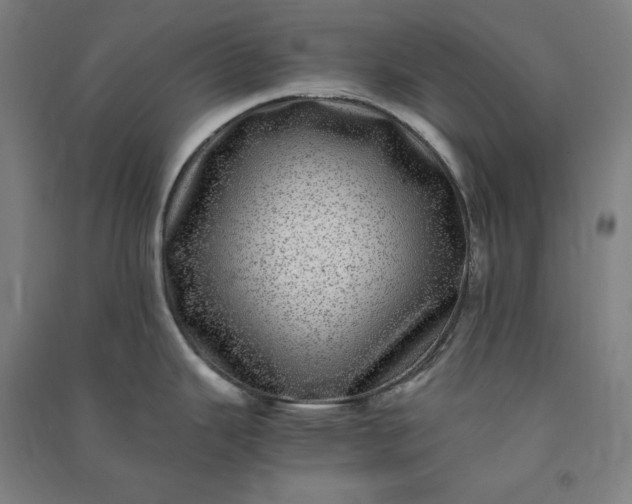 X0000091101343200708201511