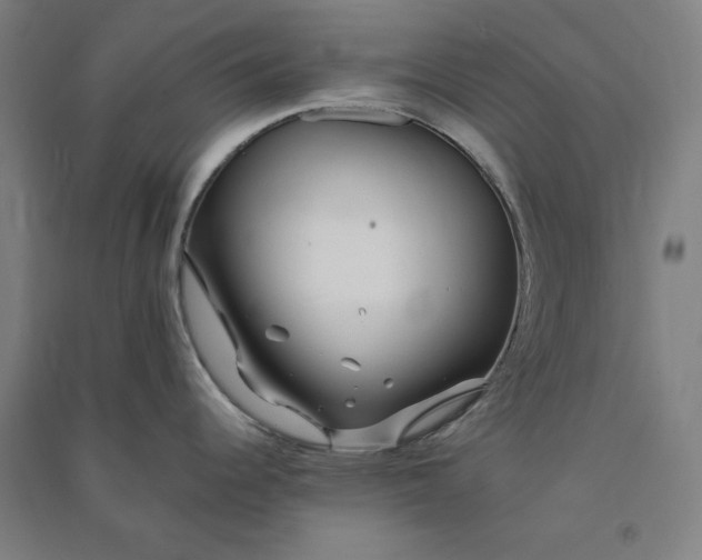 X0000091101344200708201511