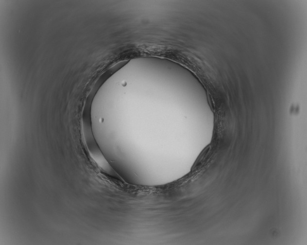 X0000091101345200708201511