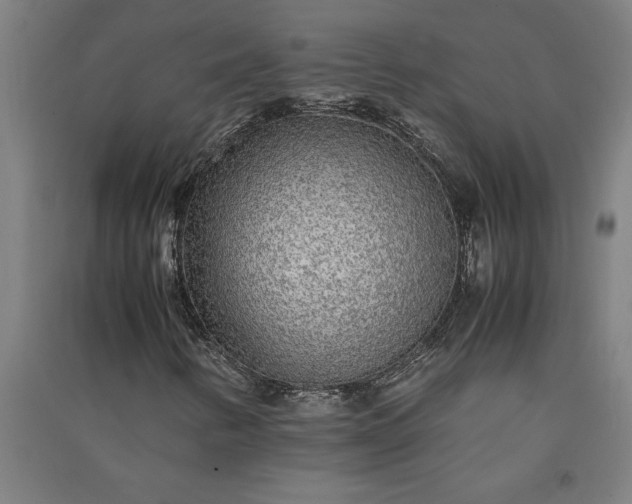 X0000091101346200708201511