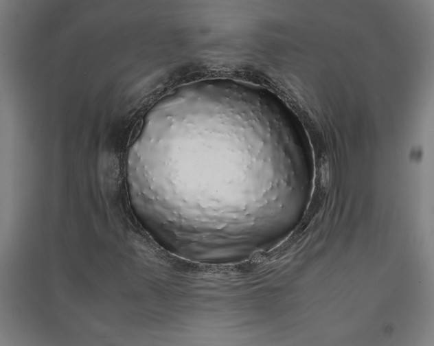 X0000091101347200708201511