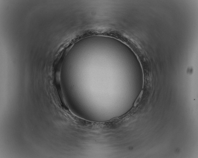 X0000091101349200708201511