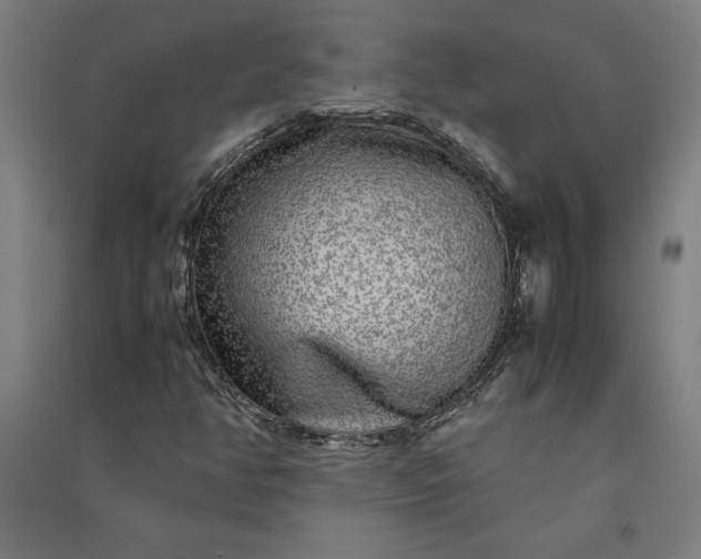 X0000091101350200708201511