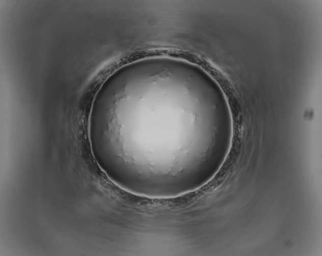 X0000091101351200708201510