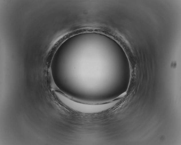 X0000091101352200708201510