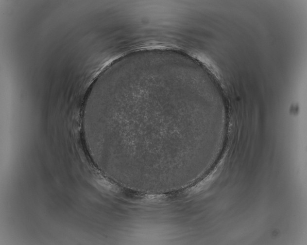 X0000091101353200708201510