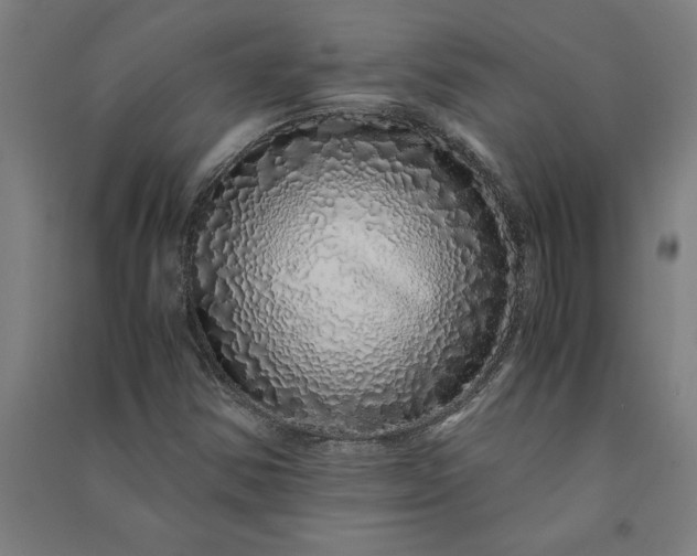 X0000091101354200708201510