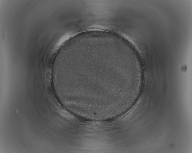 X0000091101355200708201510