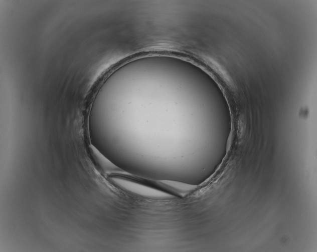 X0000091101356200708201510