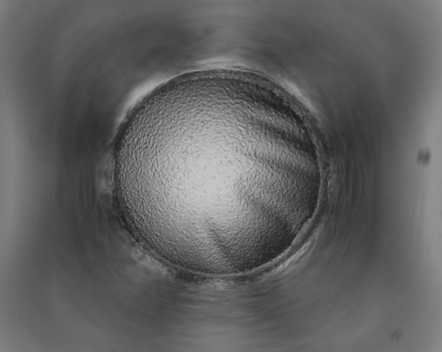 X0000091101358200708201510