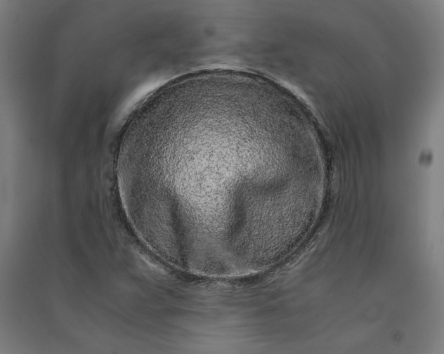 X0000091101359200708201510