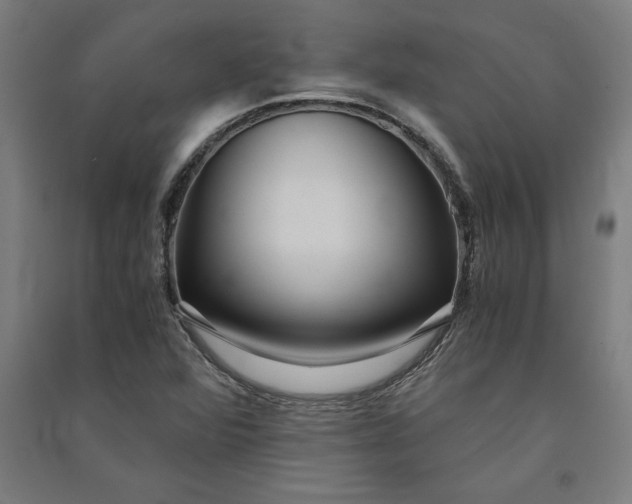 X0000091101360200708201510