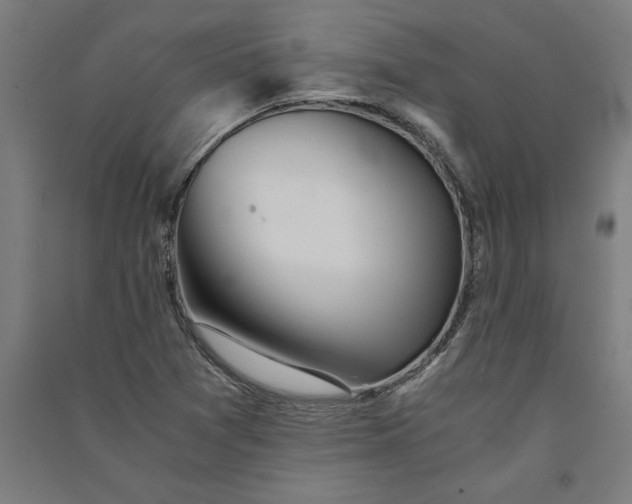 X0000091101361200708201510